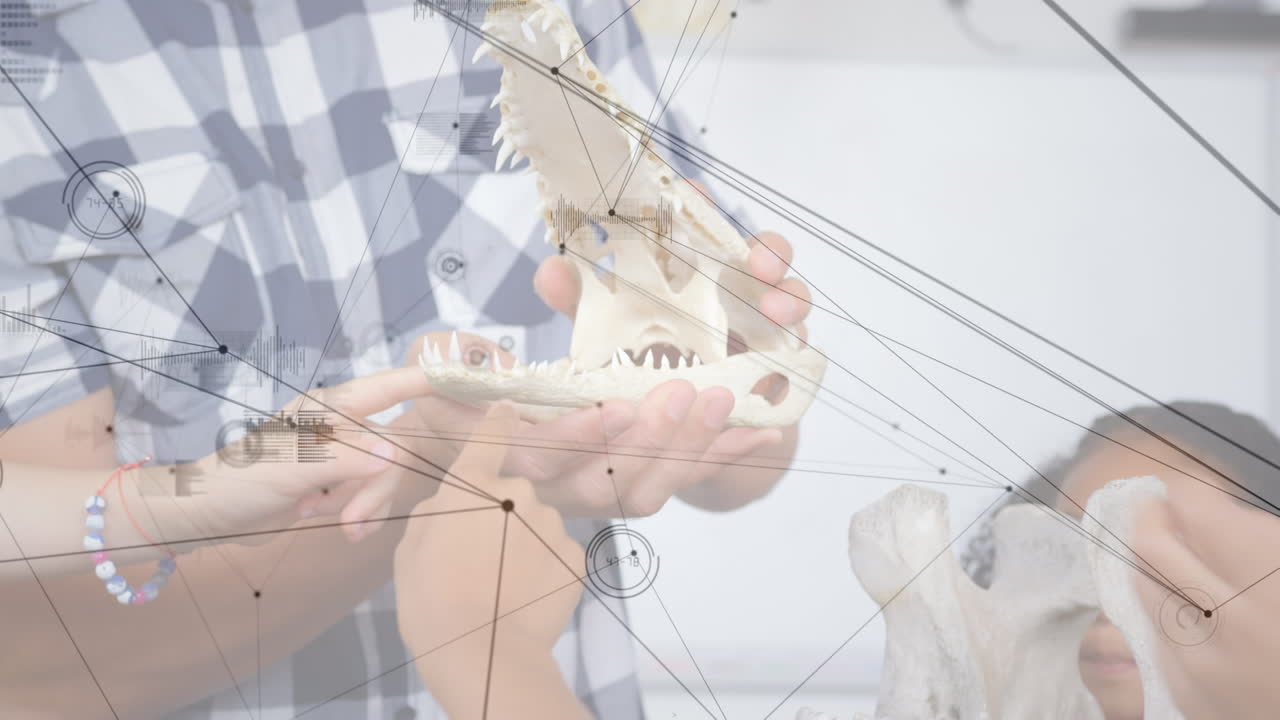 다양한 학교 학생들과 교실의 교사들 사이의 연결 네트워크의 활성화