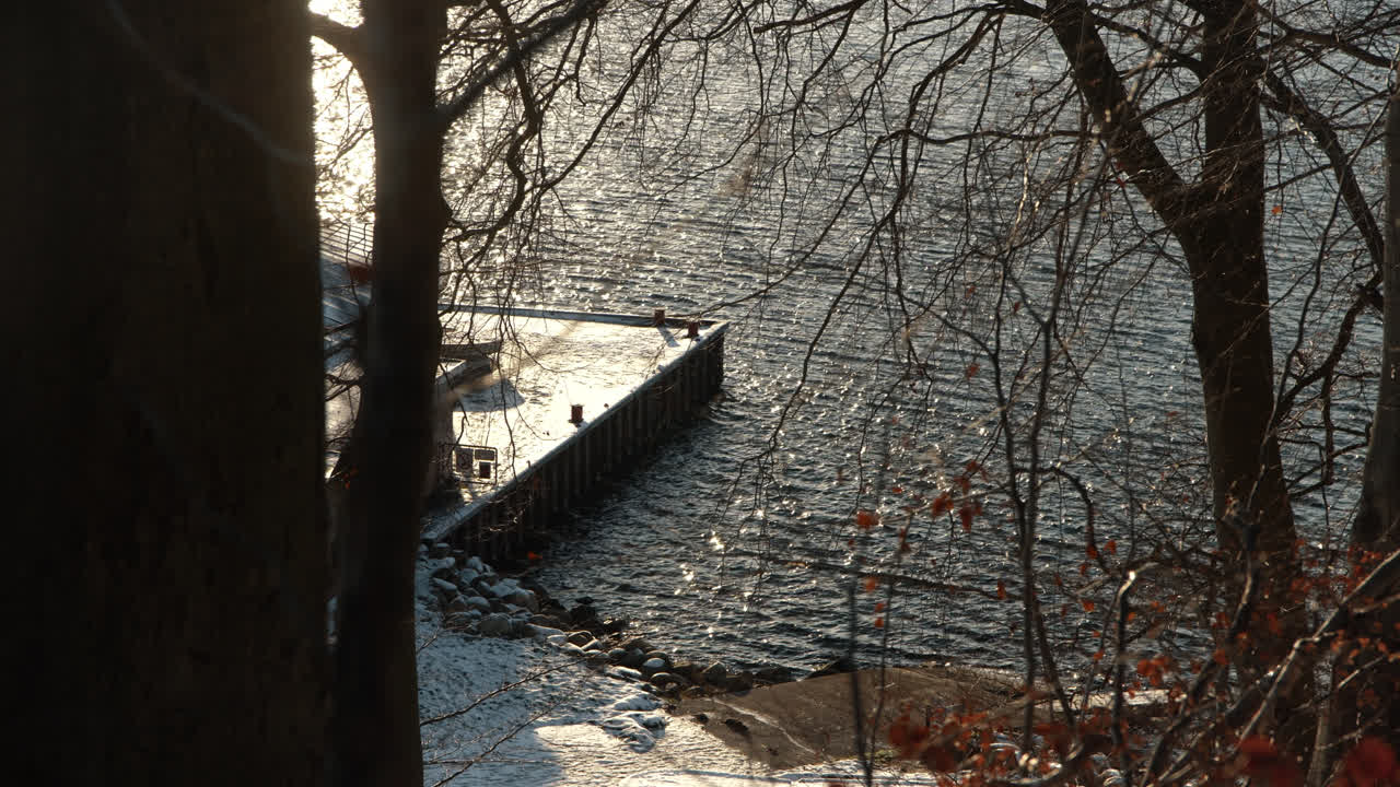 포레스트 평화로운 바다 눈에서 촬영 겨울 시간에 피요르드