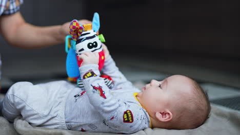 few months old baby is trying to catch a bright zebra toy. mom is holding a toy over a child to entertain him. side view.