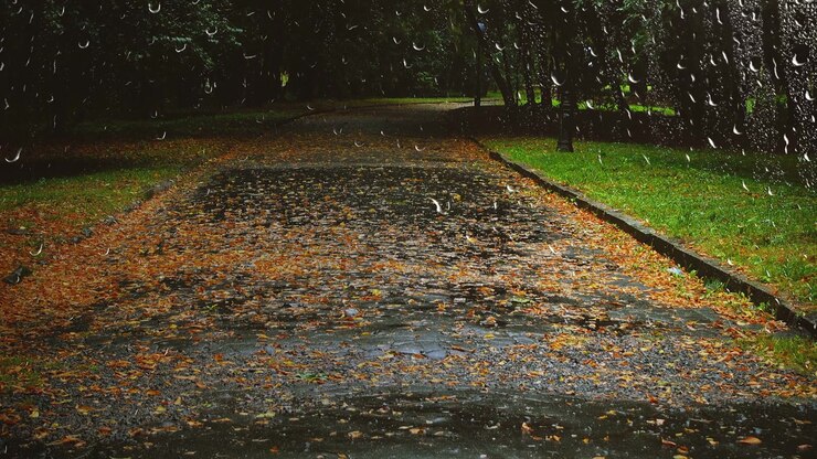 Wet road in the autumn park during the rain. View from the window.