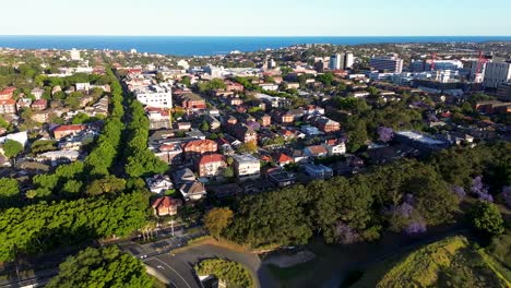 drone aerial landscape view of randwick eastern suburbs housing town streets residential units apartment neighbourhood blocks metropolitan suburban bondi coogee travel tourism nsw australia 4k