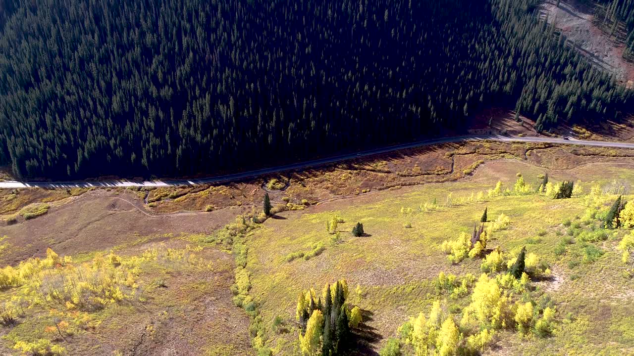 아스펜과 소나무가 아름다운 전망을 가진 도로를 둘러싸고 있습니다.