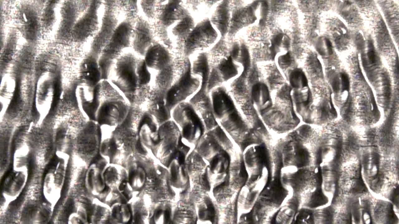 간섭 패턴은 웨이브 탱크에서 동적 구조를 생성합니다.