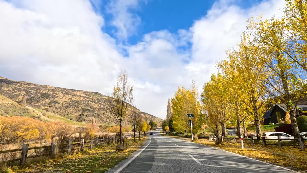 A 30-second drive through Wanaka's vibrant autumn scenery, showcasing colorful trees and clear skies under bright daylight