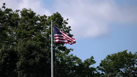 Pan-across-American-flag-waving-patriotically-in-wind-against-blue-sky-and-tree-canopy
