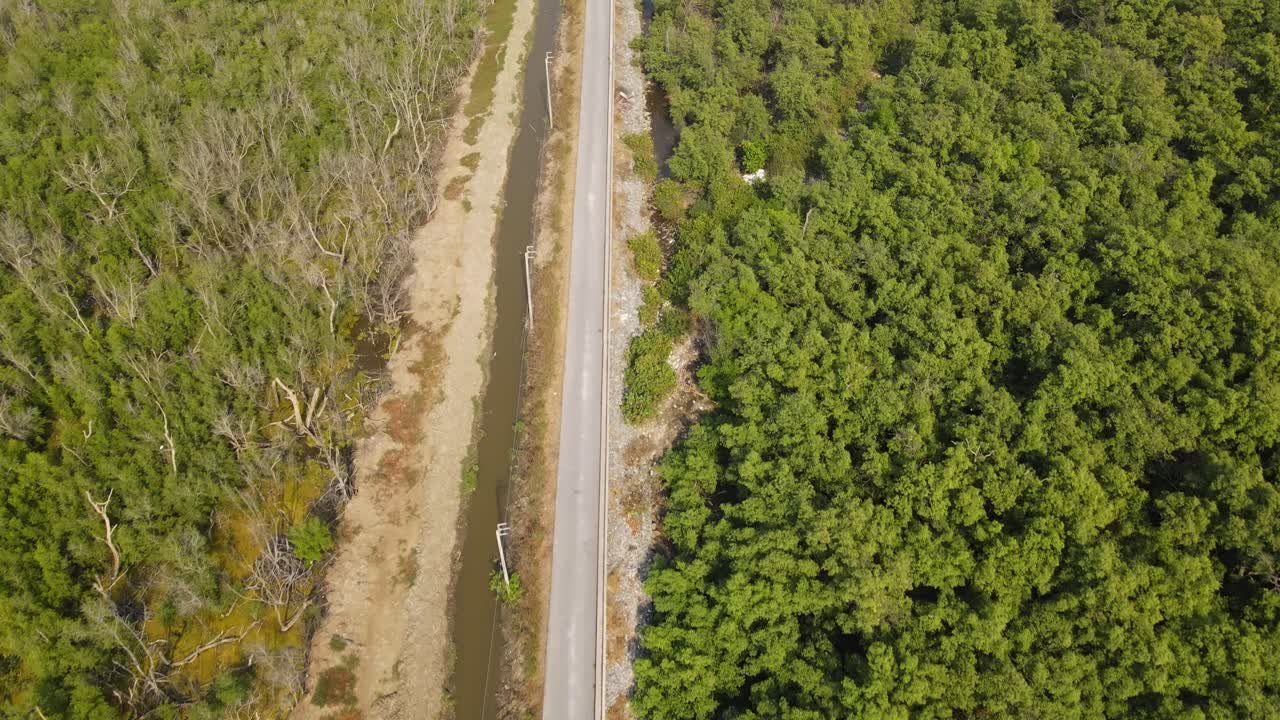 bosque de manglares en una zona costera de samut prakan, pasos aéreos que revelan un camino pavimentado, una barrera entre dos bosques, luces de la calle, mangos que filtran la basura del océano recolectada regularmente
