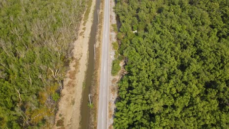 Mangrove-forest-at-a-coastal-area-of-Samut-Prakan,-aerial-footge-revealing-a-paved-road,-a-barrier-between-two-forests,-street-lights,-Mangoves-filtering-the-ocean's-garbage-collected-regularly