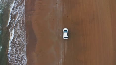 aerial top down view as car drives on sand with waves