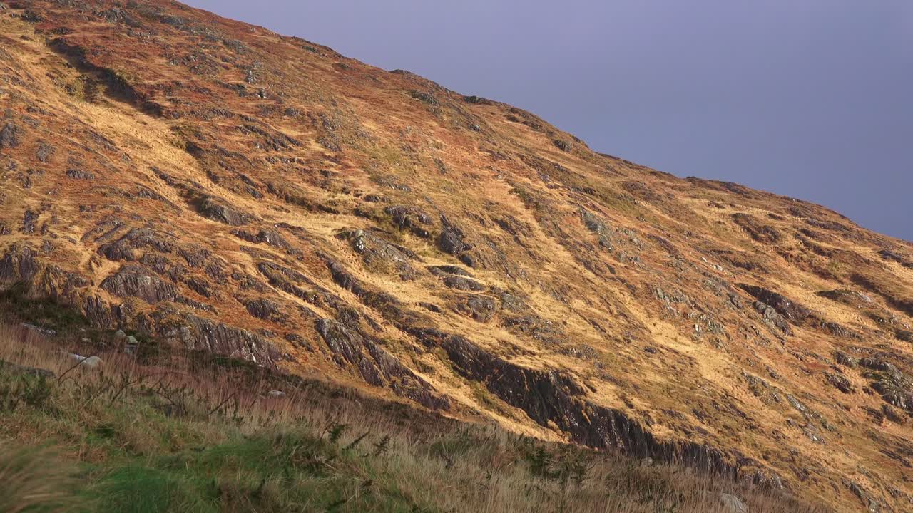 Ireland Epic Locations hillside lit up by low winter sunshine West Cork Ireland