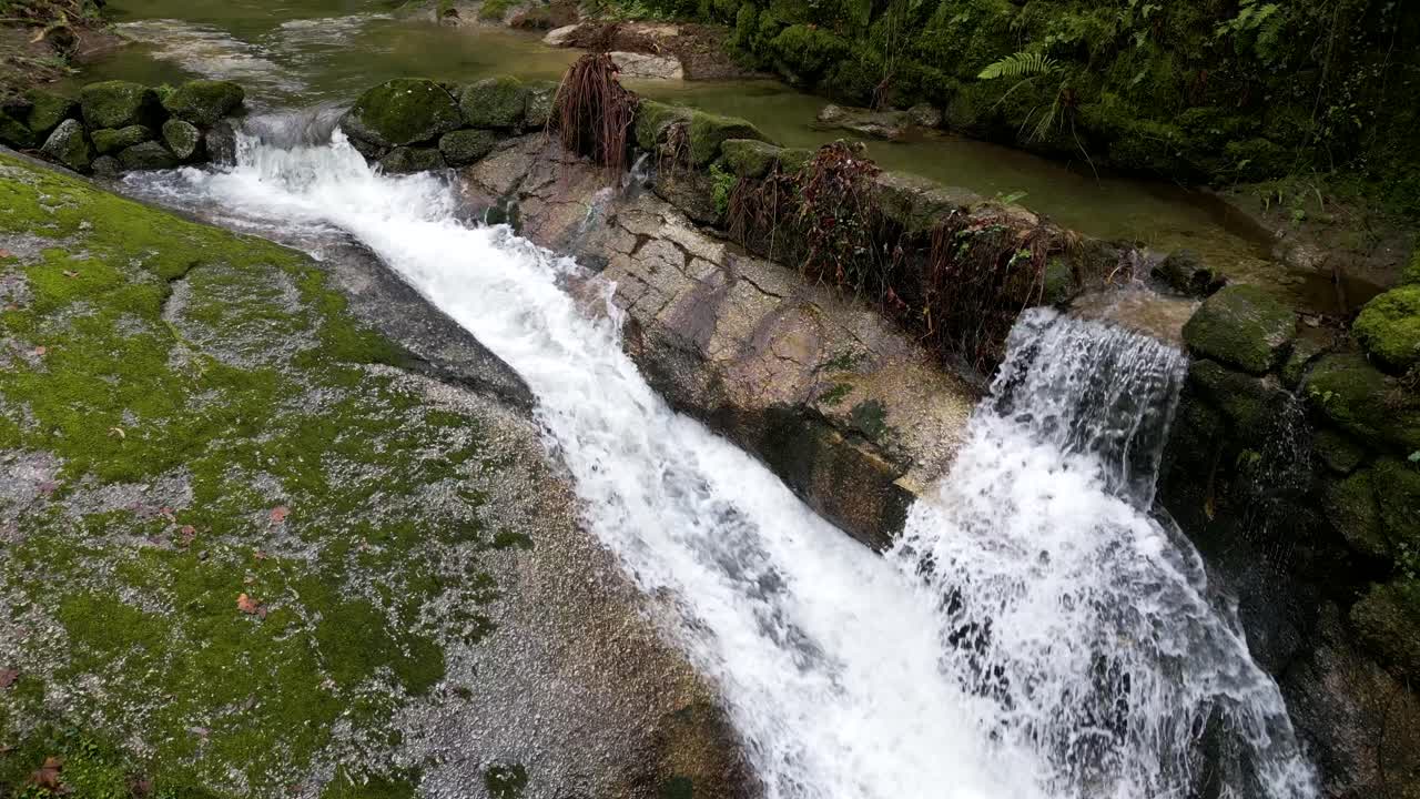cascada de musgo verde en una zona boscosa