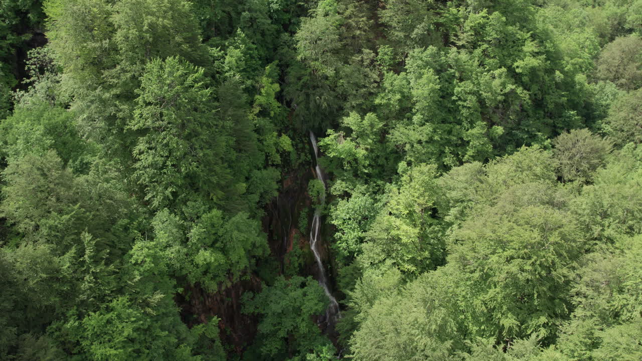 Aerial shot of tall waterfall flowing through thick green forest canopy in remote natural landscape