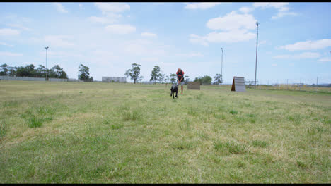 Trainer-Trainiert-Den-Hund-Auf-Dem-Feld-4k