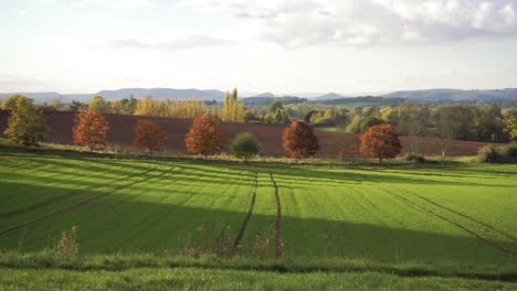 green symmetrical field on summers day