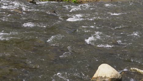 Hermosa-Corriente-De-Río-Con-Agua-Que-Fluye-Rápidamente-Y-Rocas-En-Yangjaecheon,-Seúl,-Corea-Del-Sur---Primer-Plano