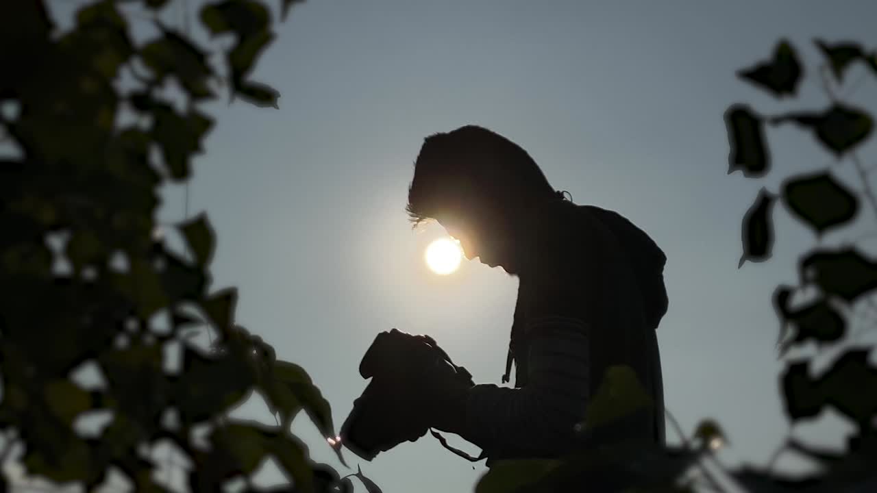 Photographers silhouette in between branches moved by the wind in the middle of photoshoot