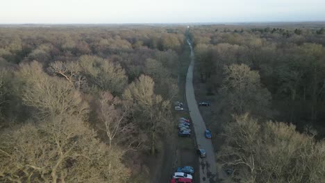 Largo-Camino-Arbolado-A-Través-De-La-Confianza-Nacional-Ashridge-Estate-Vista-Aérea-Alto-Sobre-Otoño-Bosque-Bosque-Campo