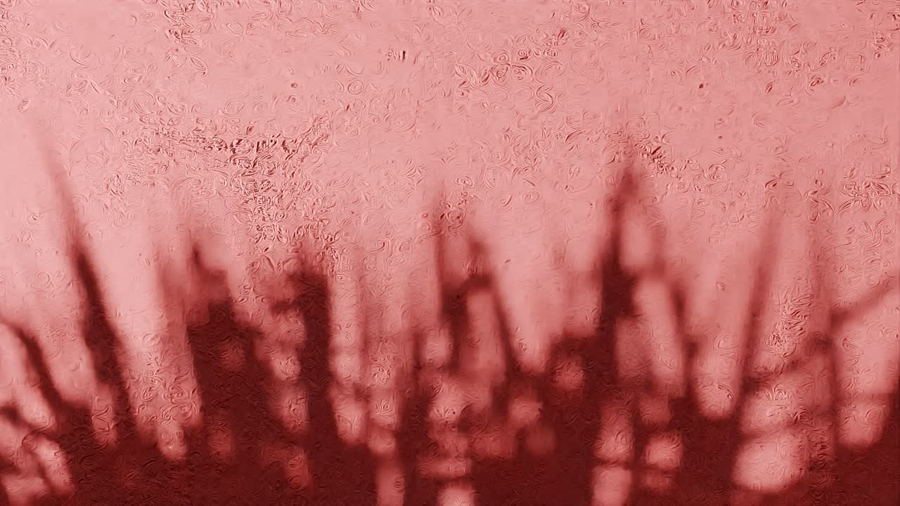 la sombra de las hojas de hierba en la pared roja texturizada