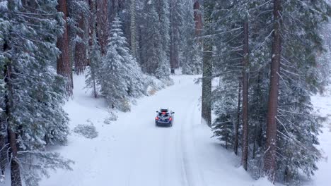 aerial 4k footage of sequoia national park covered in snow 8