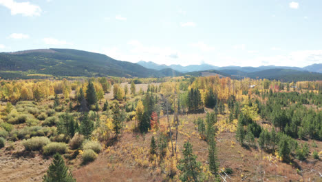 Northern-Colorado-Drohnenaufnahmen-Von-Herbstfarben-In-Den-Bergen