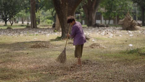 elderly person sweeping fallen leaves in a park