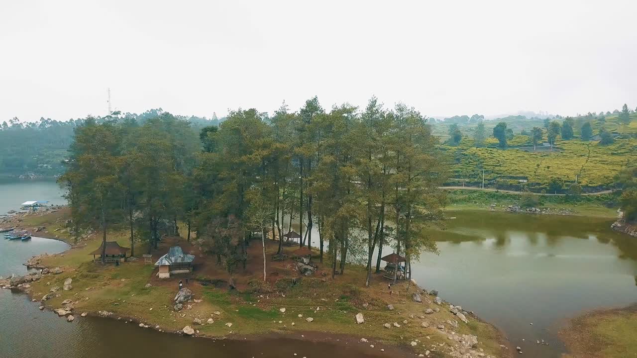 Lake with mountain and pine forest tea field