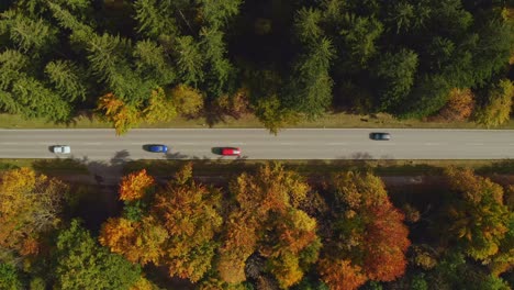 Luftaufnahme-Von-Oben-Auf-Einer-Straße-Mit-Fahrenden-Personenkraftwagen,-Eingerahmt-Von-Herbstlich-Gefärbten-Bäumen-An-Einem-Wunderschönen-Herbsttag