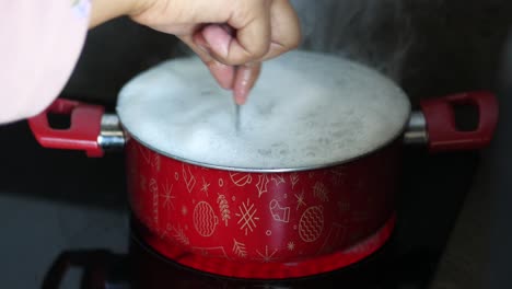 persona agitando agua hirviendo en una olla roja en una estufa