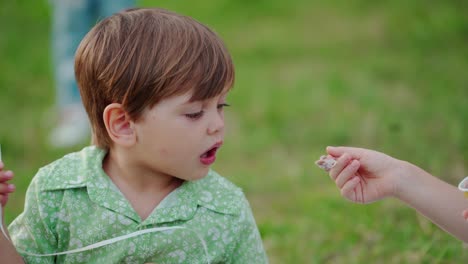 Adorable child on the green grass. Cute little boy eating healthy food outdoors. Funny toddler eating in the park in summer.