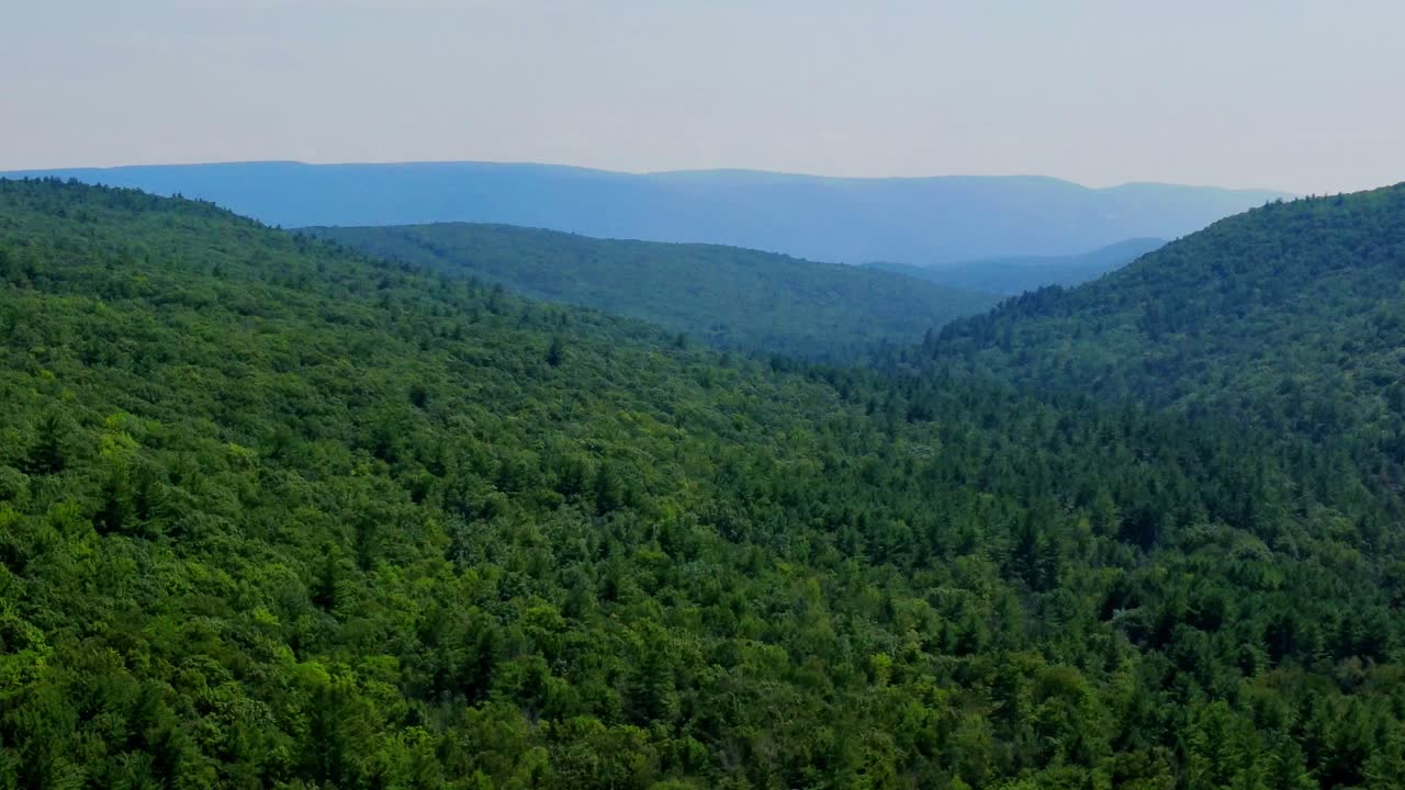 Aerial view of forest in the Catskill Mountains, Hudson Valley, in Appalachian Mountains during summer