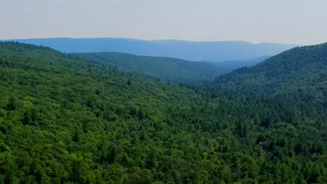 aerial view of forest in the catskill mountains, hudson valley, in appalachian mountains during summer