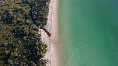 botanical creek at cooks beach with turquoise blue water in freycinet, tasmania, australia