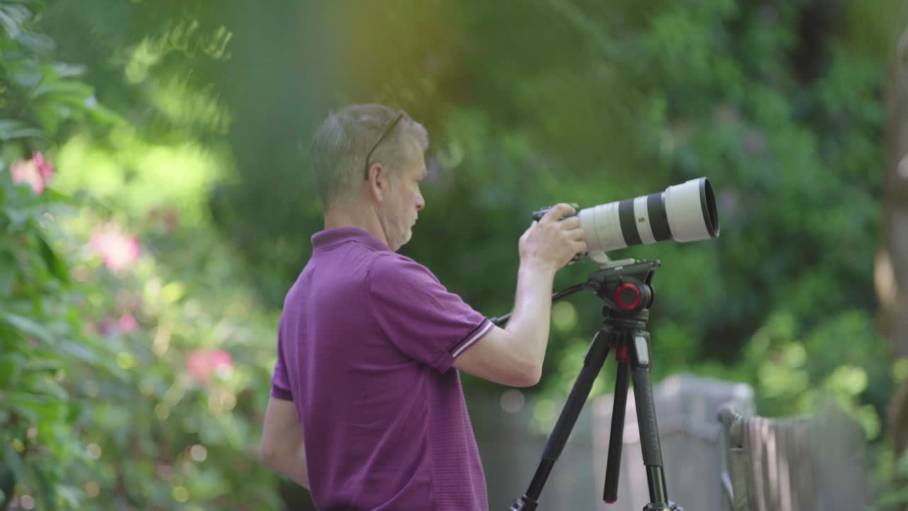 숲 지역 에서 삼각대 에 있는 텔레포토 렌즈 와 카메라 를 사용하는 사진작가