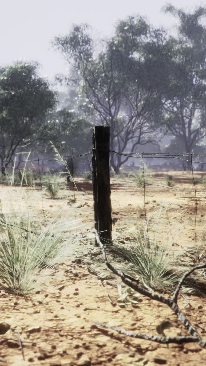 Dotted with sparse vegetation a rustic barbed wire fence lines the dirt path