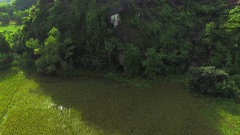 La-Naturaleza-Está-Llena-De-Tanta-Belleza-Pura