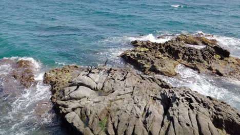 Imágenes-De-Drones-De-Cormoranes-Sentados-En-Una-Roca-Del-Mar-Mediterráneo