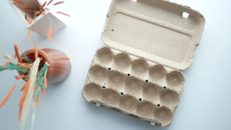 empty egg carton on white surface