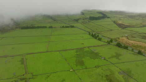 Cloudy-day-on-empty-green-fields---aerial-topshot