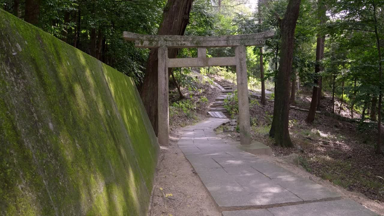 Slow motion slider over Japanese stone Torii Gate inside lush forest