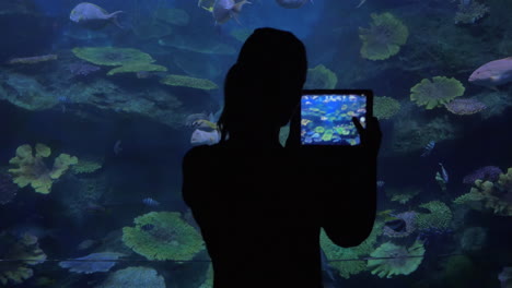 Frau-Mit-Touchpad-Fotografiert-Im-Ozeanarium