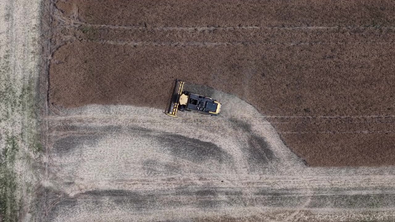 Et dronebillede fanger en gul mejetærsker, der effektivt bearbejder en stor landbrugsmark i højsæsonen for høst.