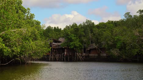 viajando a lo largo del río hacia algunos asentamientos locales en la isla de bintan, islas riau, indonesia