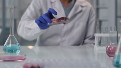 lab experiment with meat sample