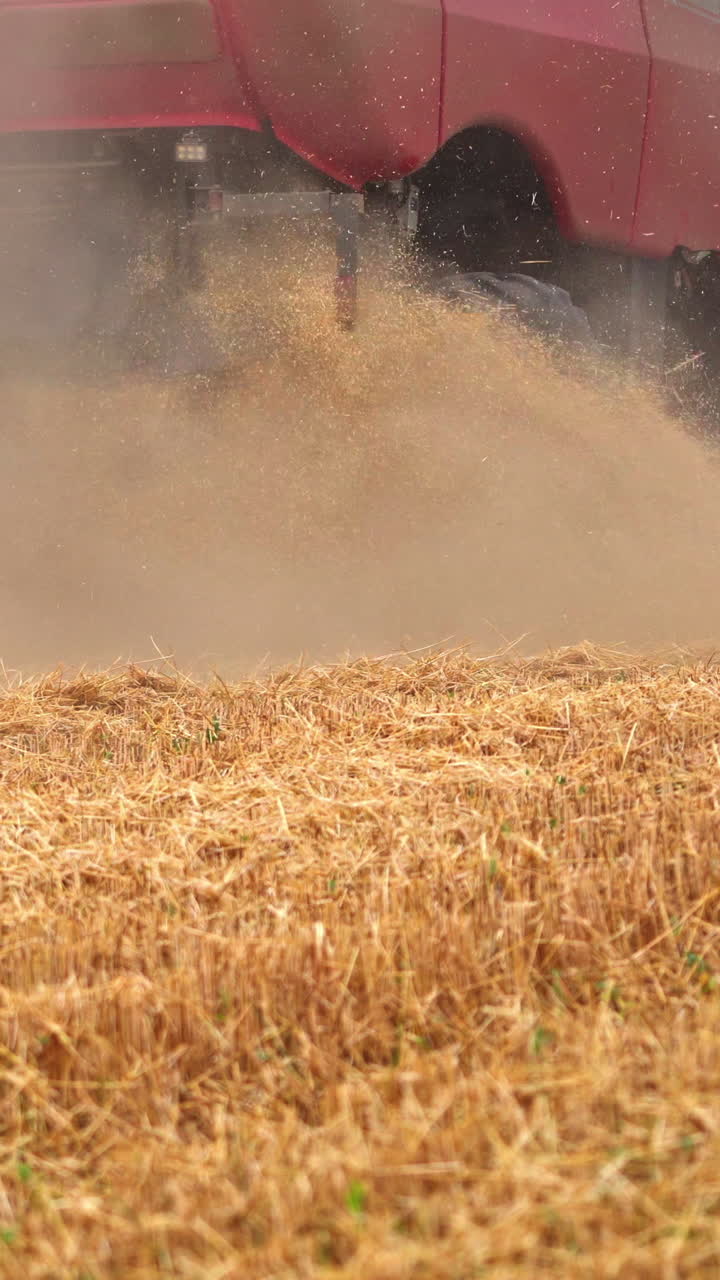 Harvester riding in the field. Huge wheels of a combine rotating quickly in the dust. Mowed wheat field close up. Vertical video