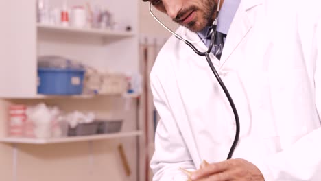el veterinario examina a un gato