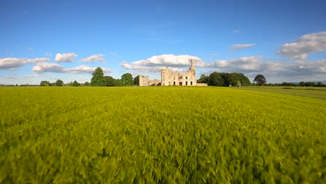 duckett's grove 4k cinematic fpv footage - co