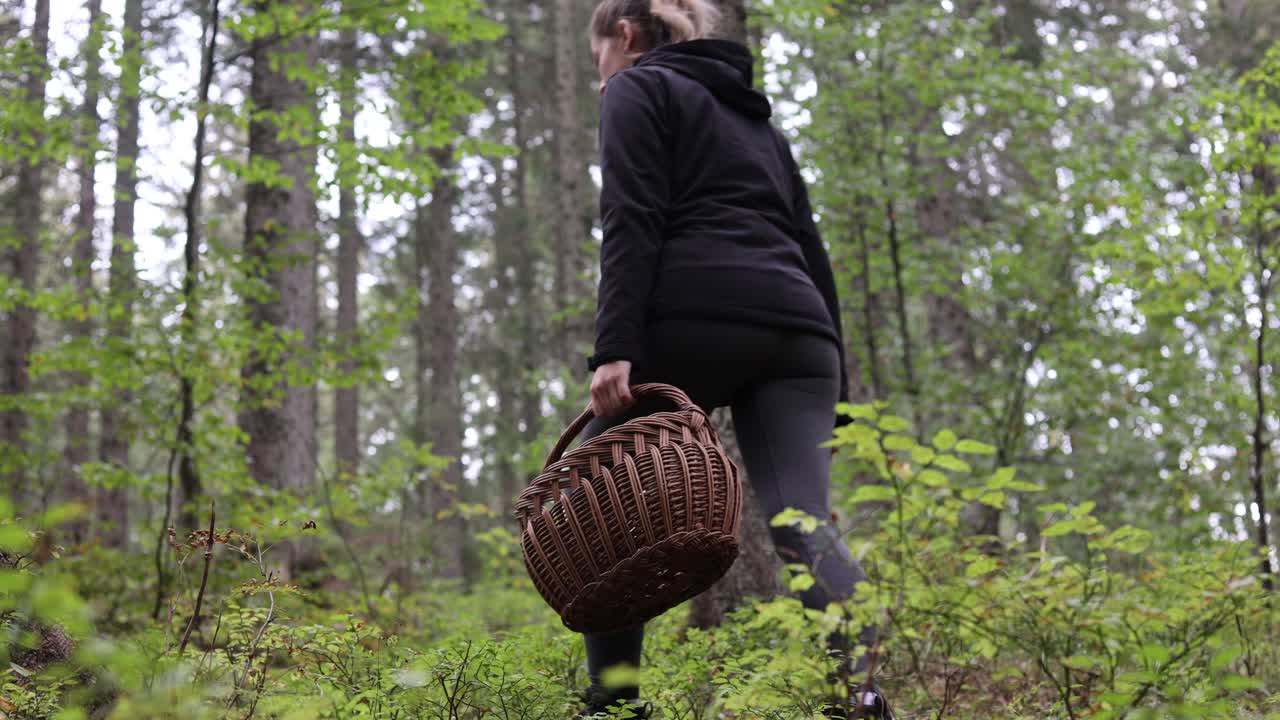 Escursione femminile su sentiero nel bosco con cesto per