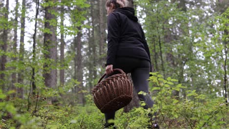 female hike on forest path holding basket for