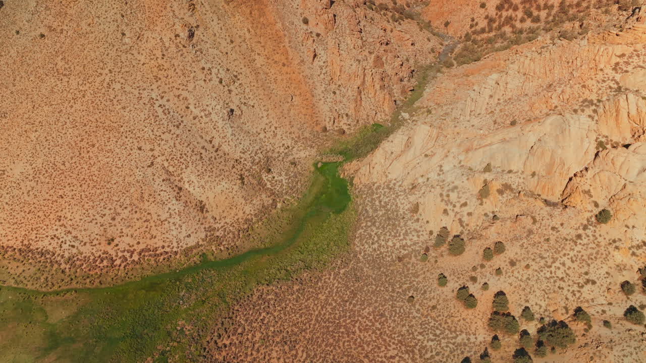 Aerial View of a Canyon in a Desert Landscape