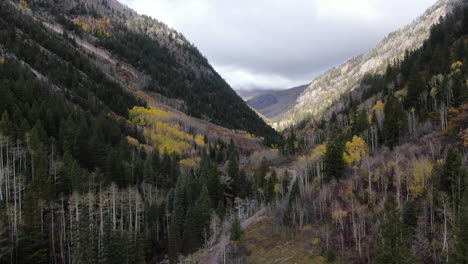 cinematic drone aerial 4wd off road marble crystal mill stunning autumn aspen fall colors southern colorado rocky mountains peaks ouray telluride camping by river yellow trees cloudy forward motion