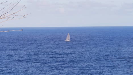 sailboat sailing in blue ocean - seascape from point lookout, north stradbroke island, qld, australia